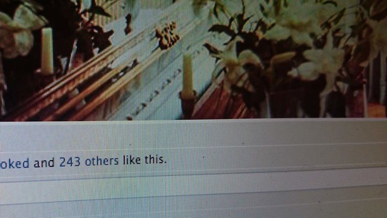 facebook like geil - Blog | fotografische Gedanken