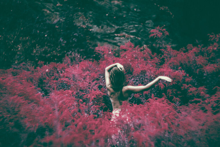 21369673452 b119c55d3f o - Blog | fotografische Gedanken